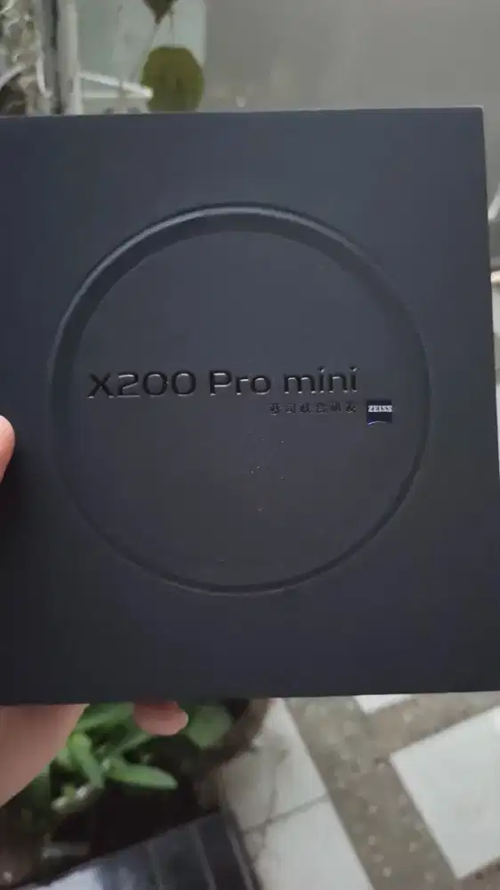 Vivo X200 Pro Mini