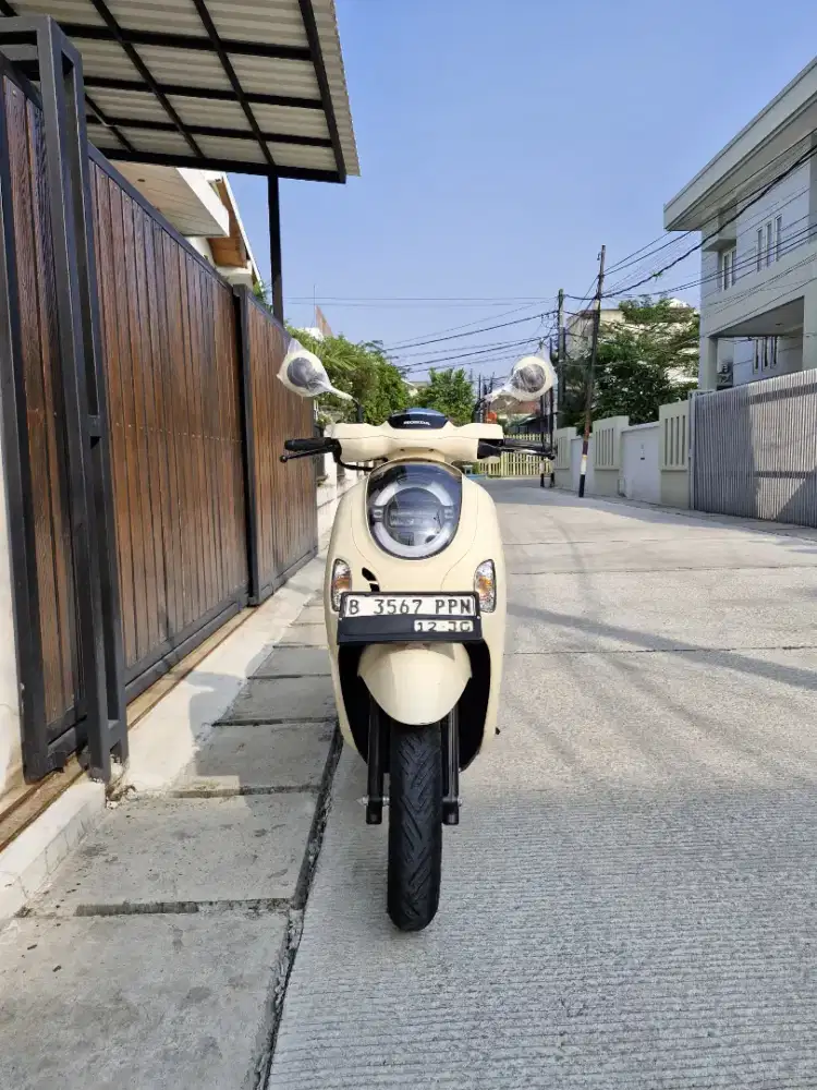 WARNA CAKEP GUYS⁉️HONDA SCOOPY STYLISH  TH 2025