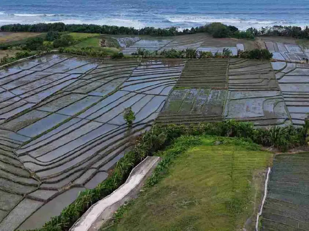 Tanah 493m2 deket pantai pasut, buat invest - Tibubiyu - Tabanan - Bali