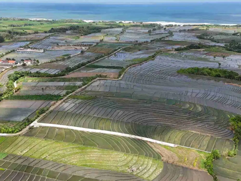 Tanah kavling 300m2 , buat invest, dekat pantai - Tibubiyu - Tabanan Bali