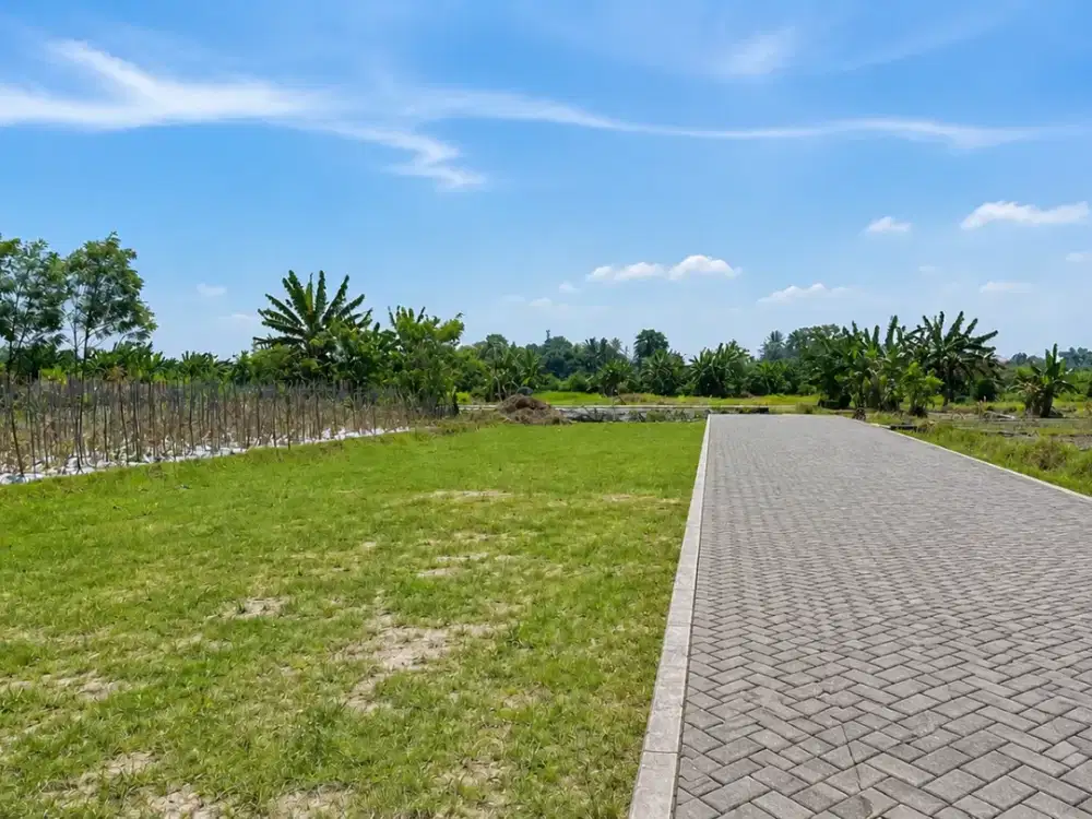 Tanah Murah Area Jogja Barat Dekat Ringroad