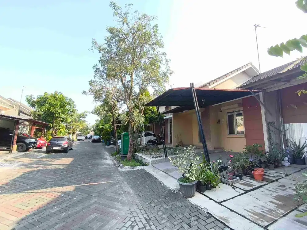 Disewakan Rumah satu lantai di Cluster Djava Residence Jababeka cikarang