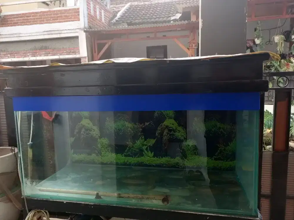 AQUARIUM PLUS DUDUKAN