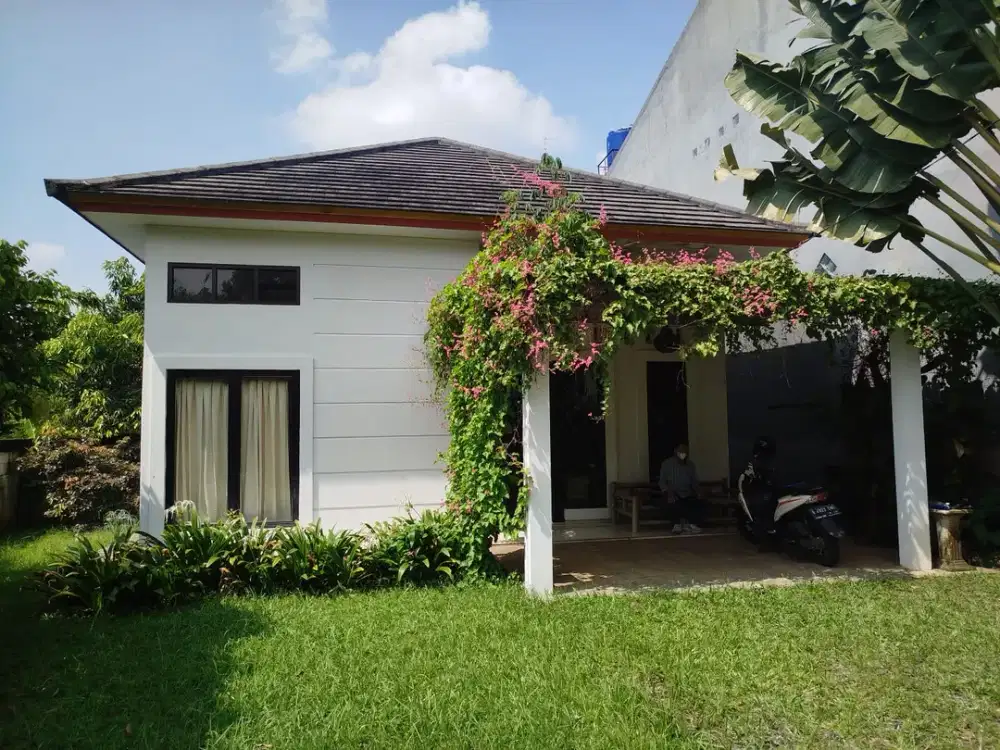 Rumah 1 lantai asri dan nyaman