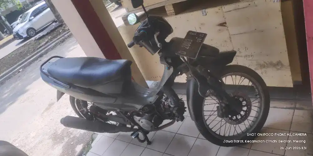 Motor Shogun Kebo Muda