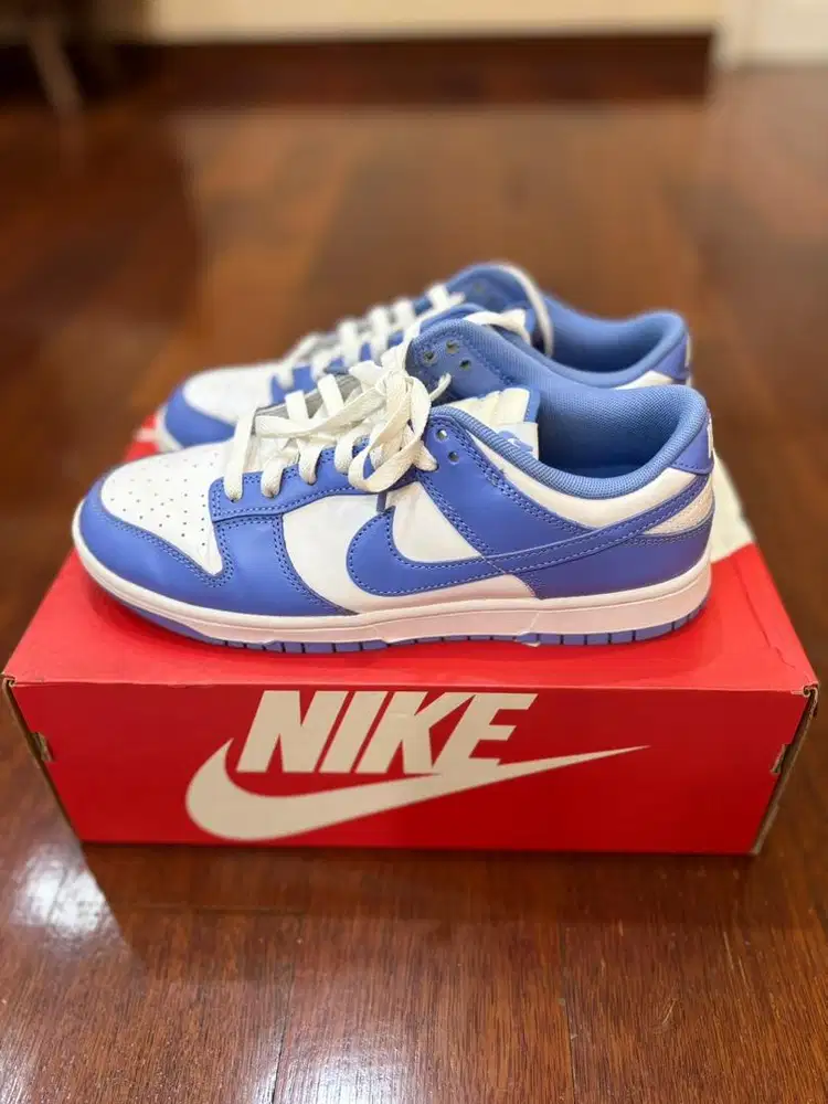 Nike Dunk Low Retro Polar Blue
