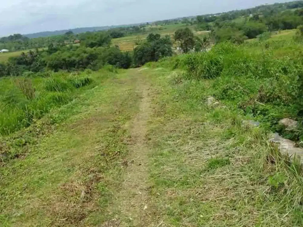 dijual tanah di cimanggis jalan cakung