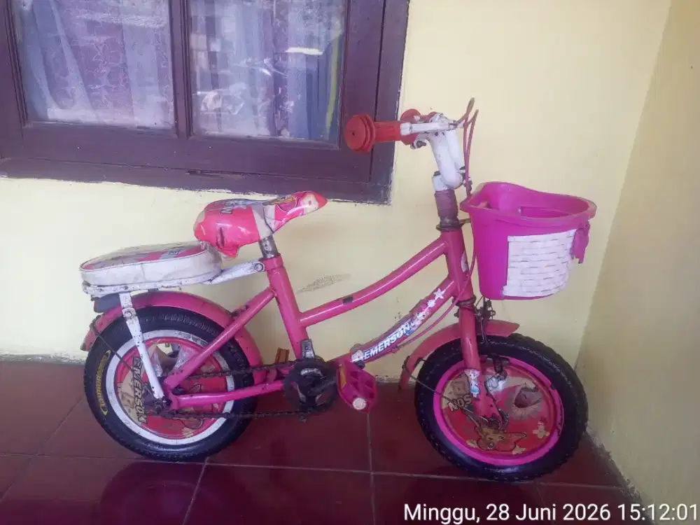 Sepeda anak cewek