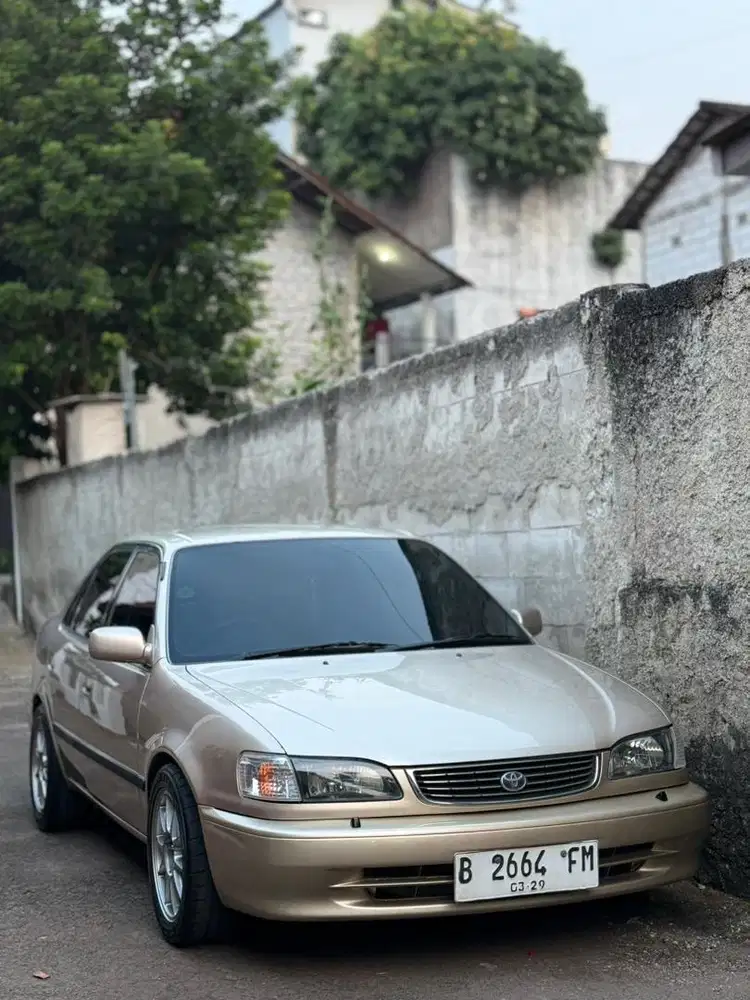 All new corolla seg
