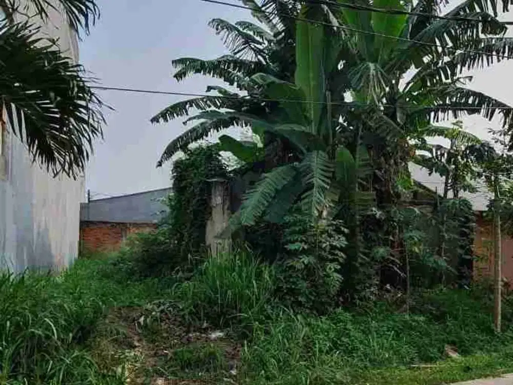 Tanah Dijual