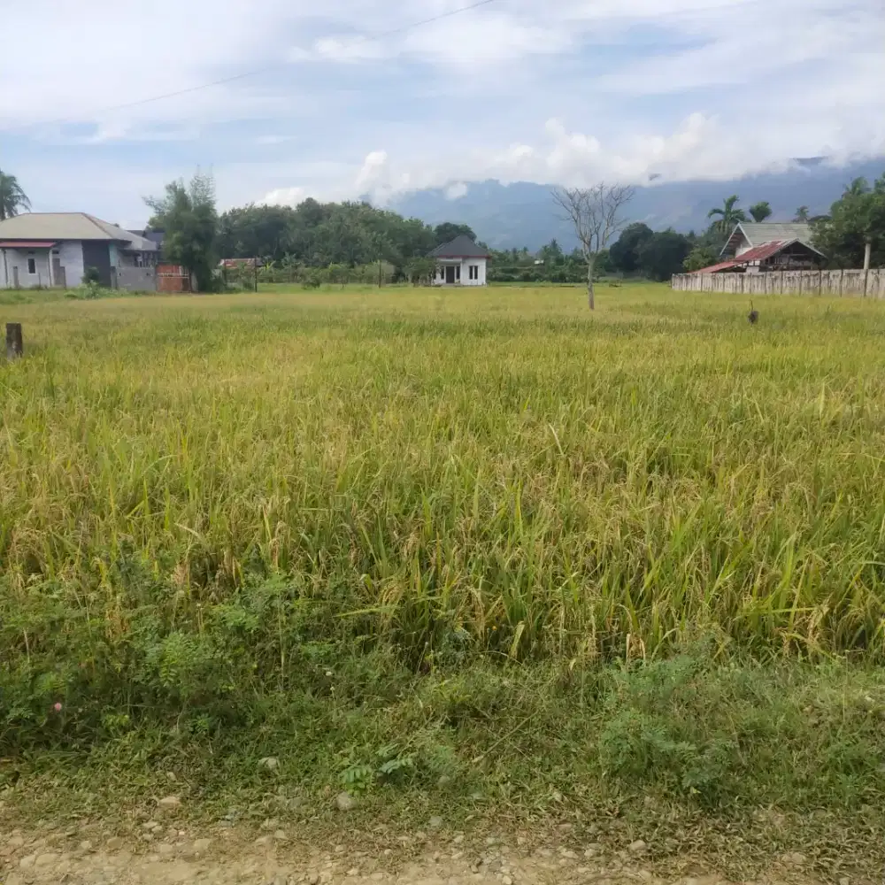 Tanah 300 meter di Lamblang Trieng Lampenerut