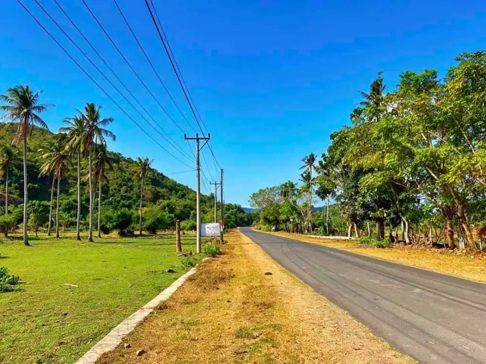 Dijual Tanah Murah Strategis Dekat Pantai Selong Belanak Lombok – SHM, Cocok untuk Villa & Investasi!