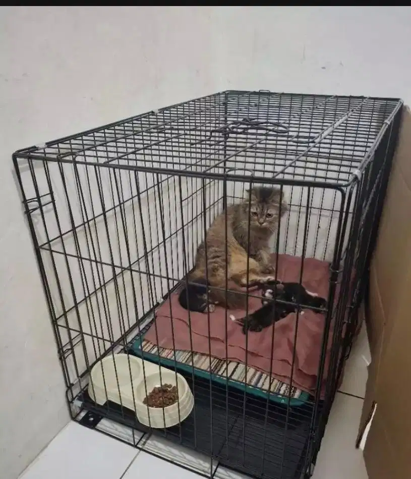 dijual kandang kucing bekas
