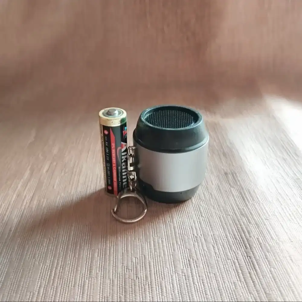 Speaker mini pico by brandcharger