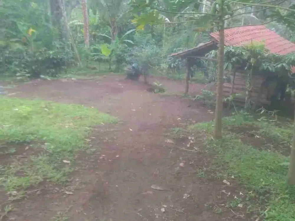 tanah perkebunan surabrata