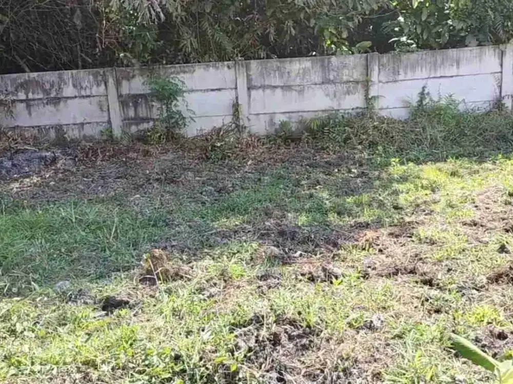 Tanah Murah Lokasi Beciro Wonoayu Sidoarjo