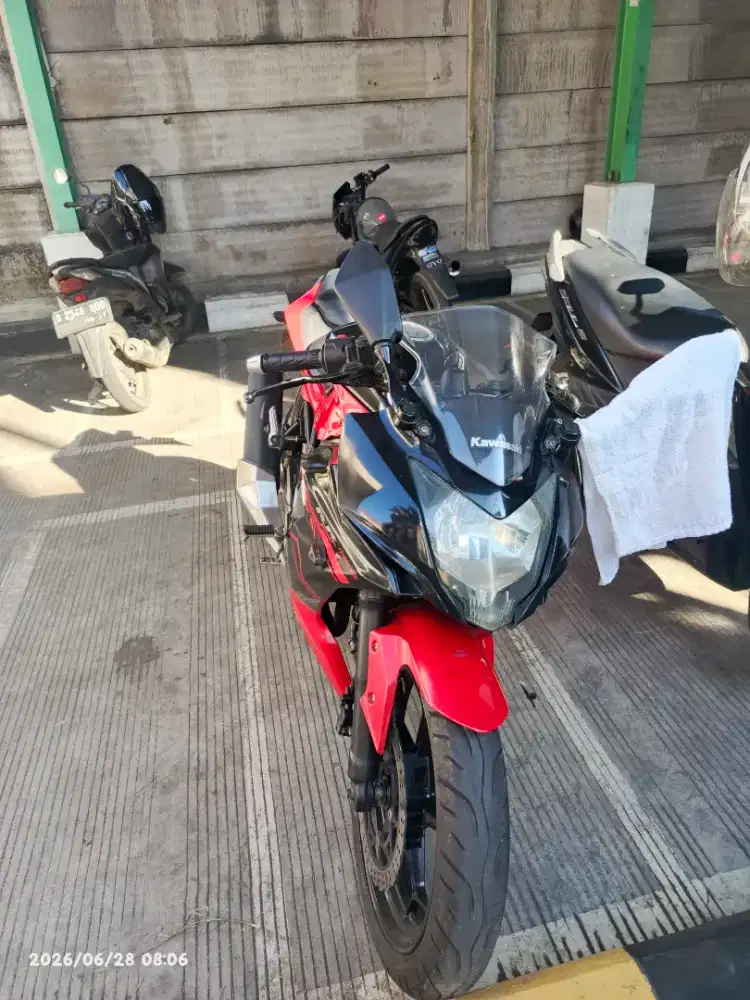 NINJA 250 fi mono