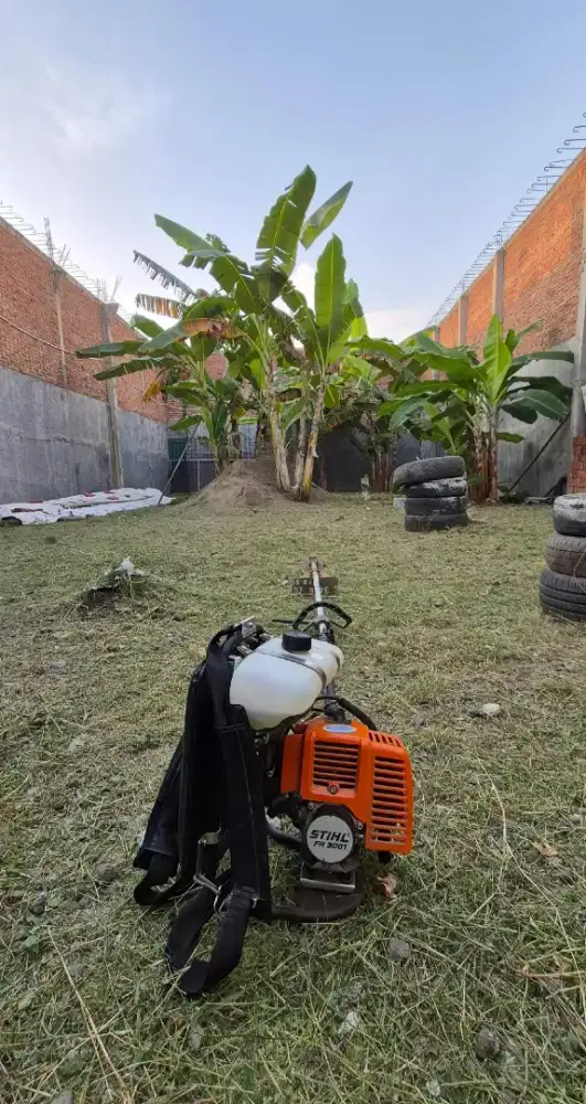 Jasa potong rumput harian dan borongan