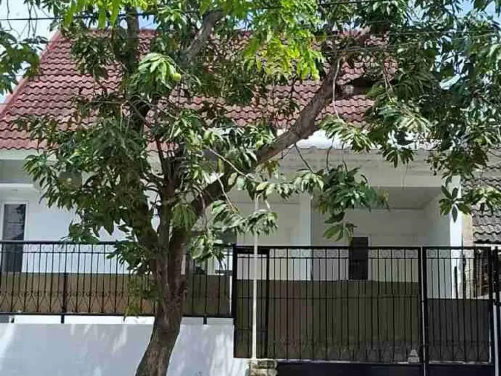 Sewa Rumah Di Semarang Indah