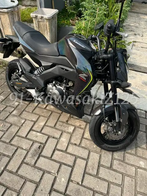 Kawasaki Z 125 Pro
