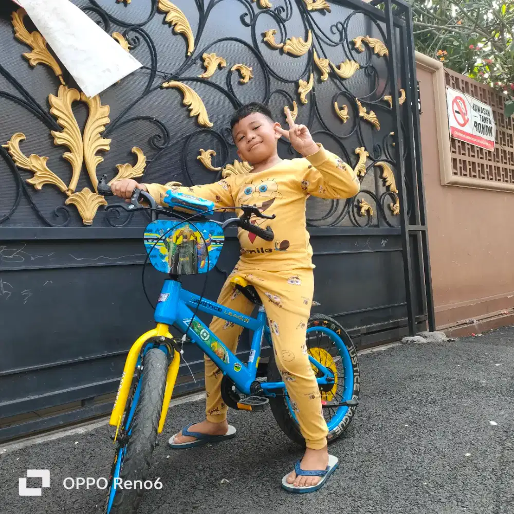 Jual sepeda bekas pemakaian 5 bulan