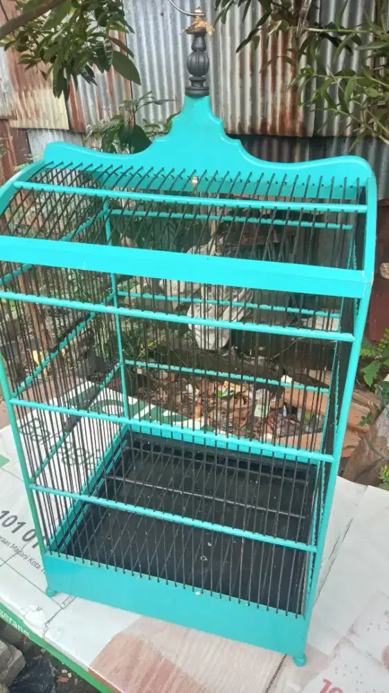 Kandang burung no 1