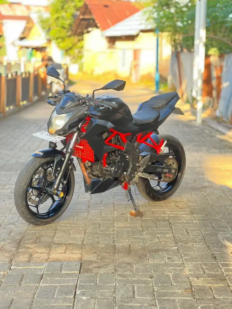 Kawasaki Ninja Mono