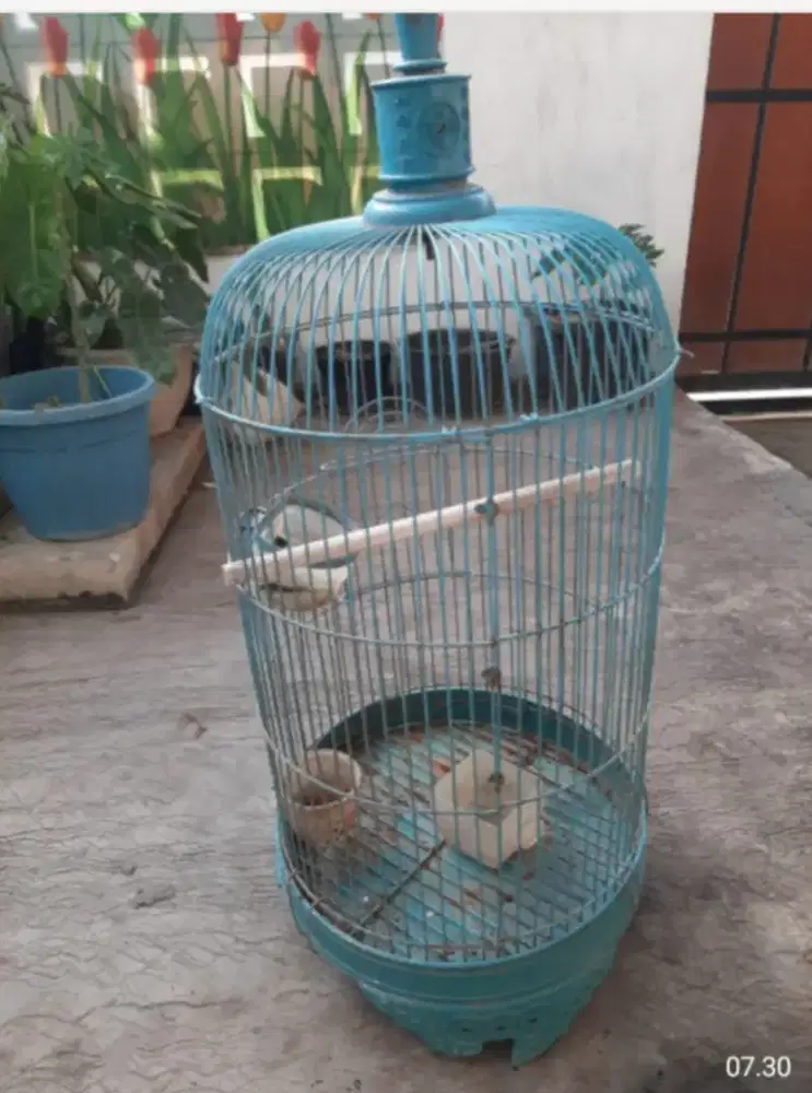 jual murah kandang burung
