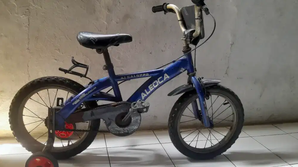 Sepeda anak ALEOCA ring 16