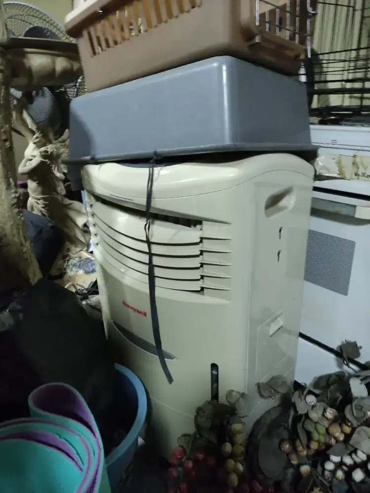 Honeywell CL201AE Air Cooler indor dingin