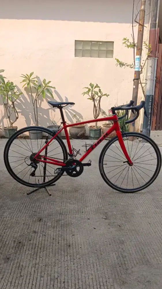 SEPEDA BALAP ROADBIKE TREK DOMANE AL3 2020 RIM BRAKE SIZE 54