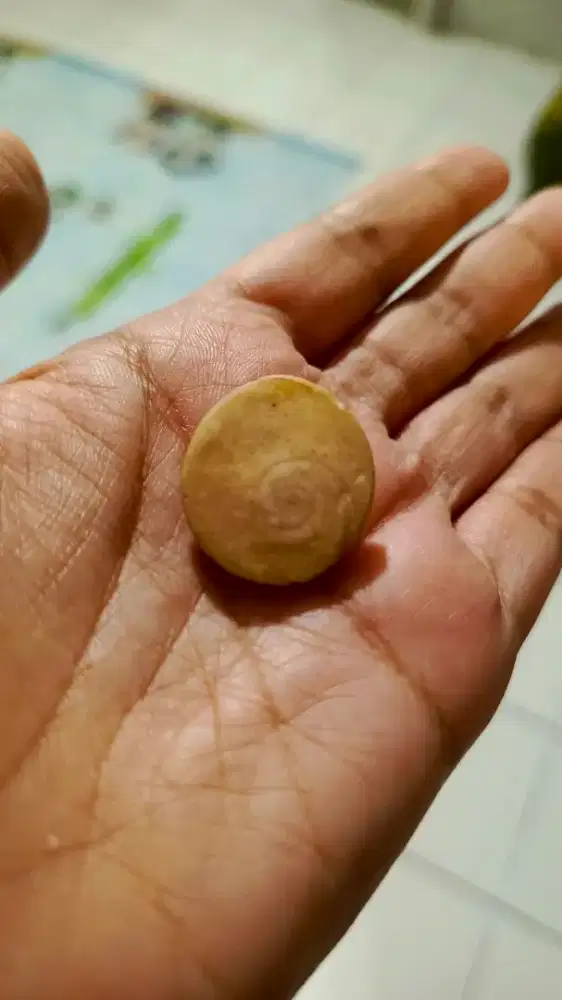BATU MATA DEWA ASLI - LANGKA DAN BERKUALITAS