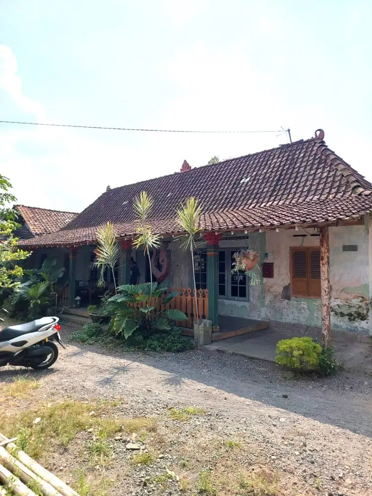 Tanah Ngantong Strategis di Jalan Noto Sukardjo