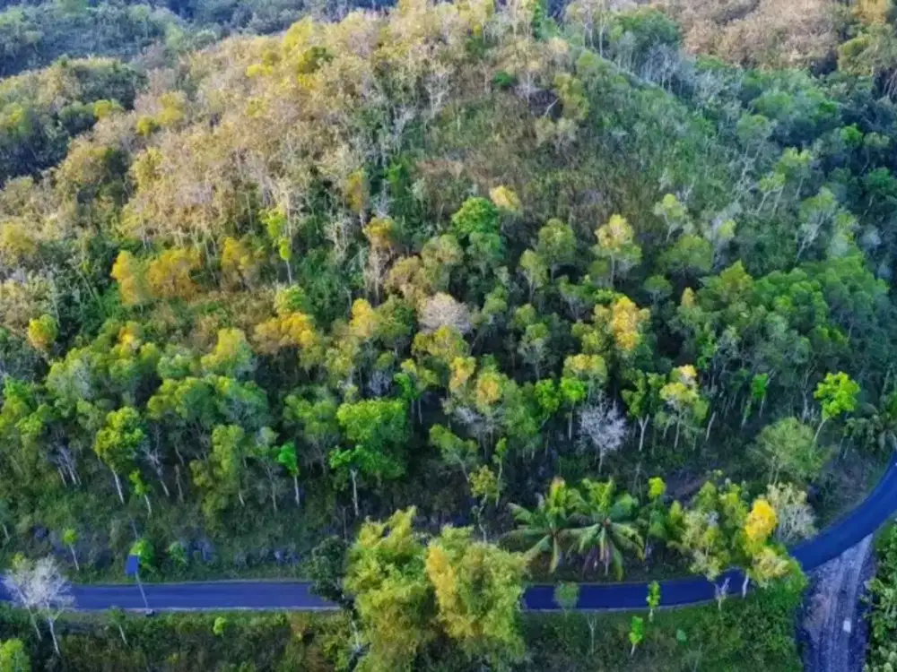 Kebun buah strategis