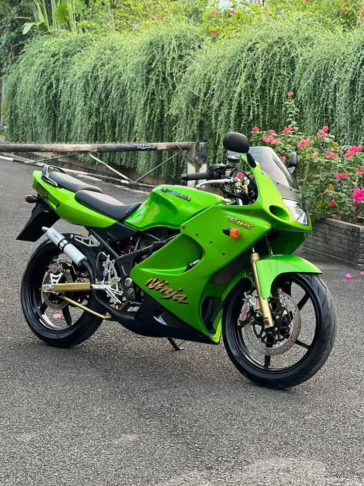 ninja rr cbu 2004