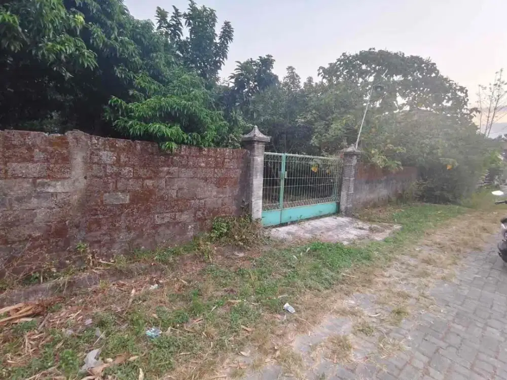 Tanah Pekarangan Bonus Buah di Klaten Utara