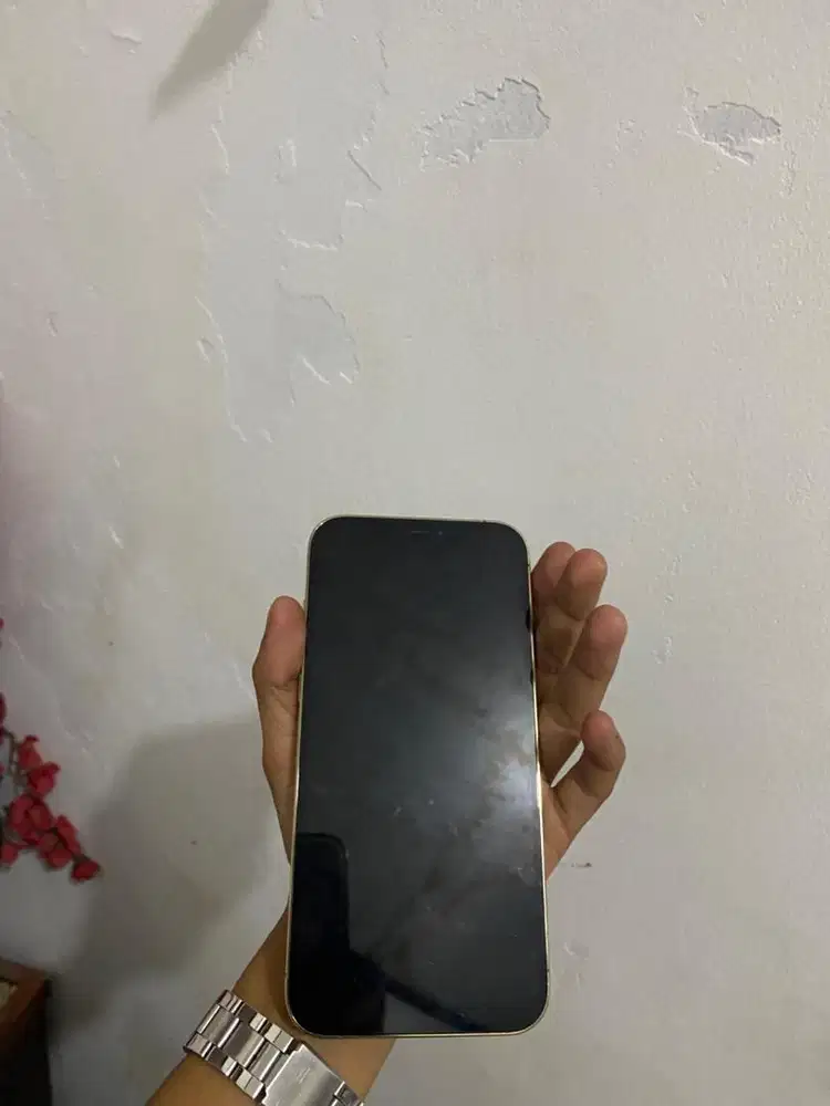 Iphone 12pm 256 beacukai