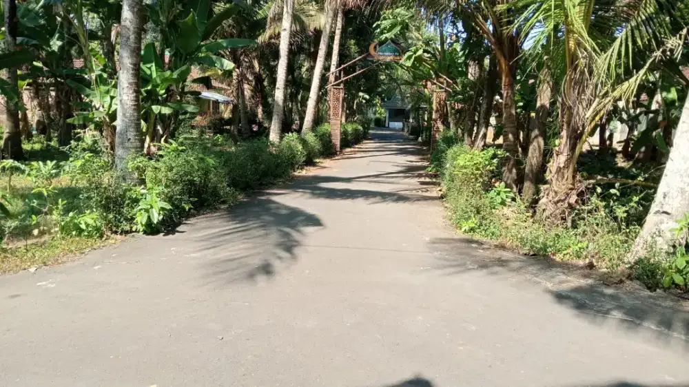 Jual tanah di  Sewugalur Kp