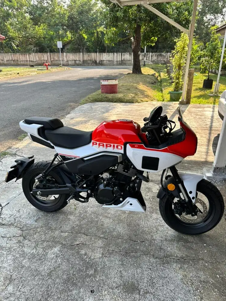 Papio XO-1 2024