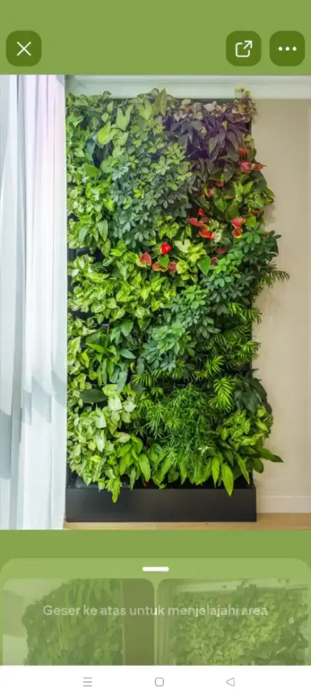 Vertical garden