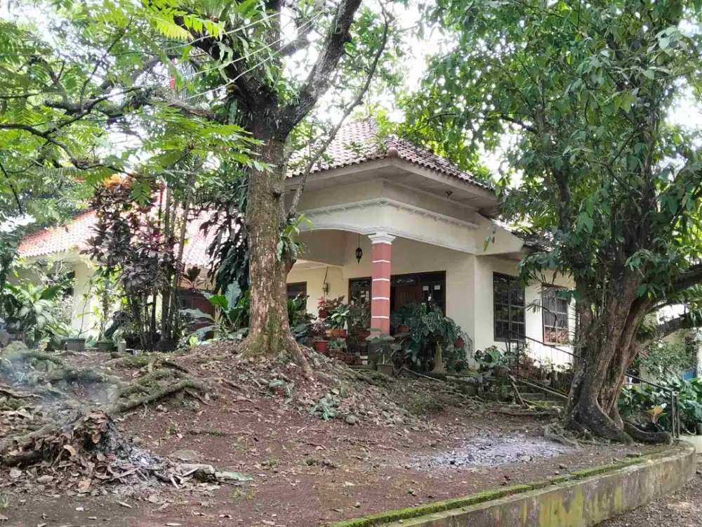 Rumah Luas, Asri, Strategis Dekat RSUD di Tengah Kota Bogor