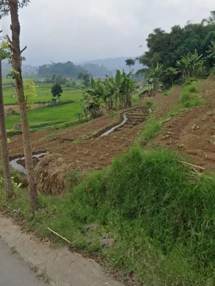 Tanah di jual cepat lokasi di Ciwidey bandung