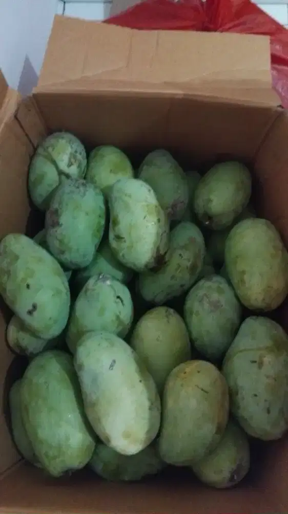 Distributor mangga jawa barat