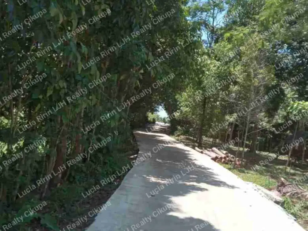 Dijual Kebun Luas Dekat Pantai Carita