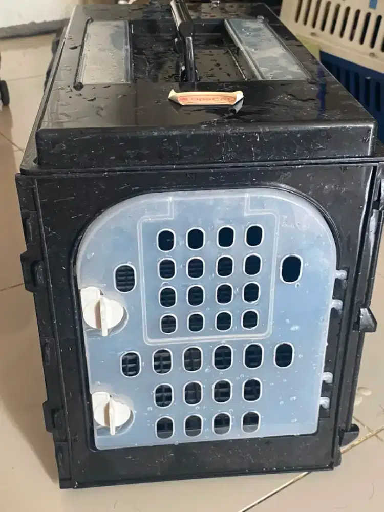 Pet carrier kucing