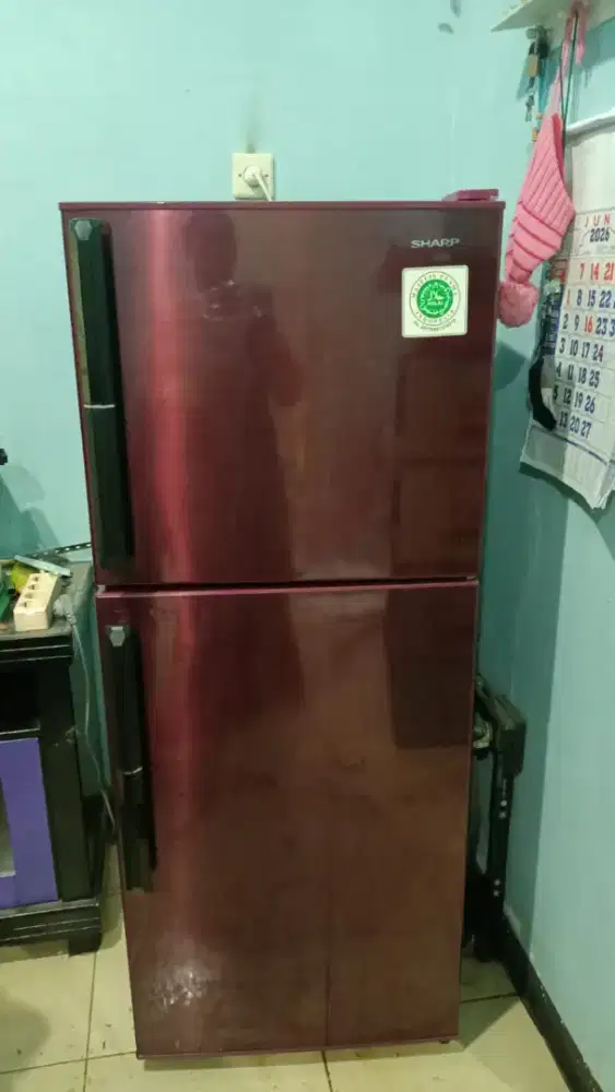 Kulkas Sharp 2 pintu