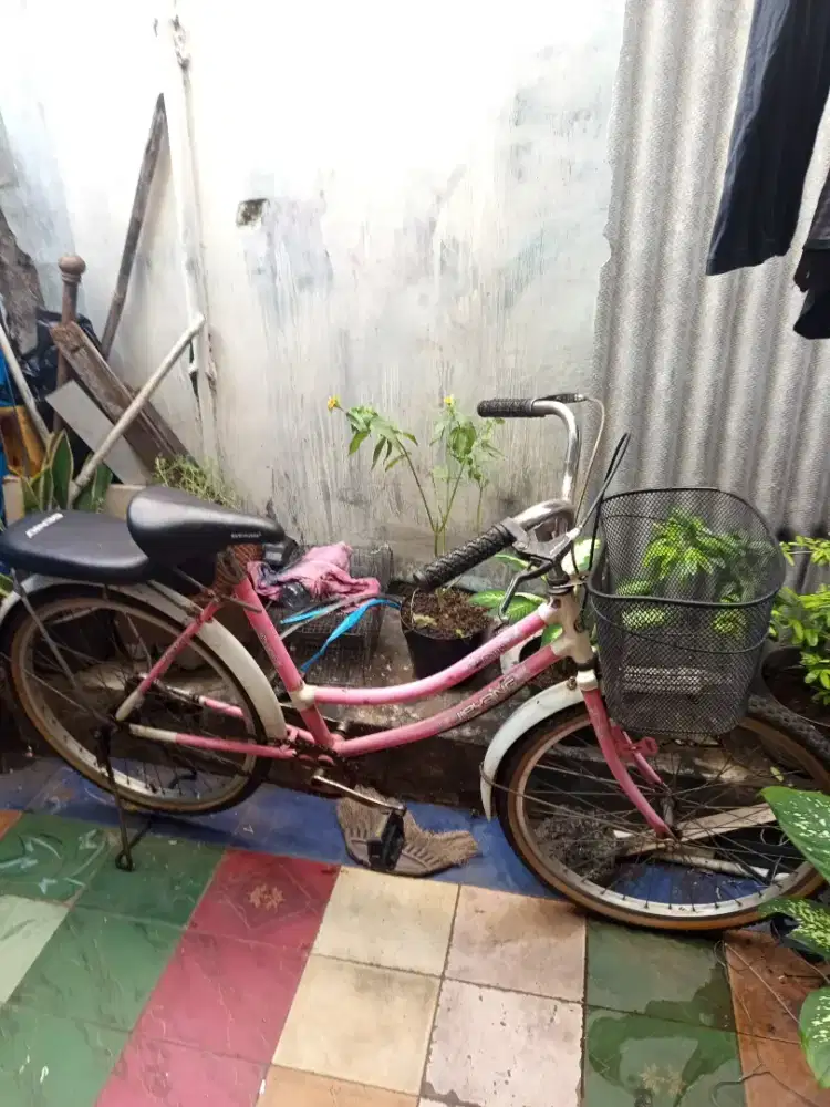 Sepeda keranjang ring 24