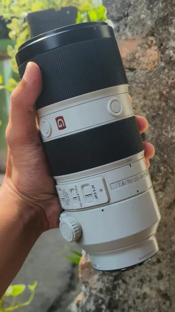 Sony FE 70-200mm f/2.8 GM OSS