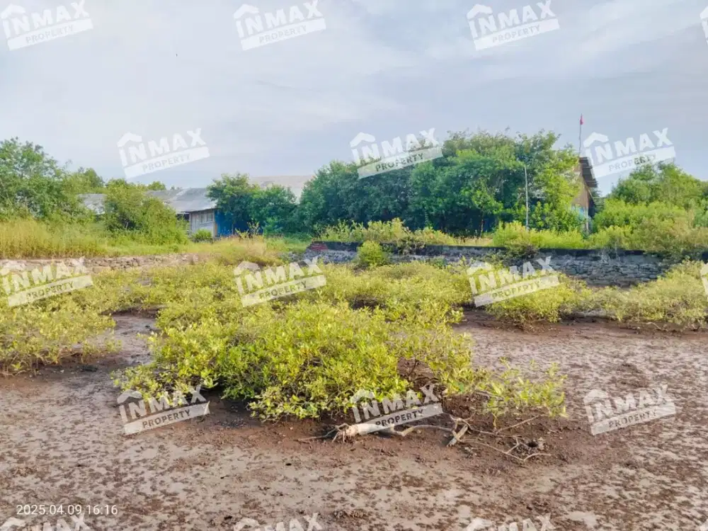 Dijual Tanah Tambak Luas 51150 di Probolinggo, Bisa Untuk Usaha Atau Investasi