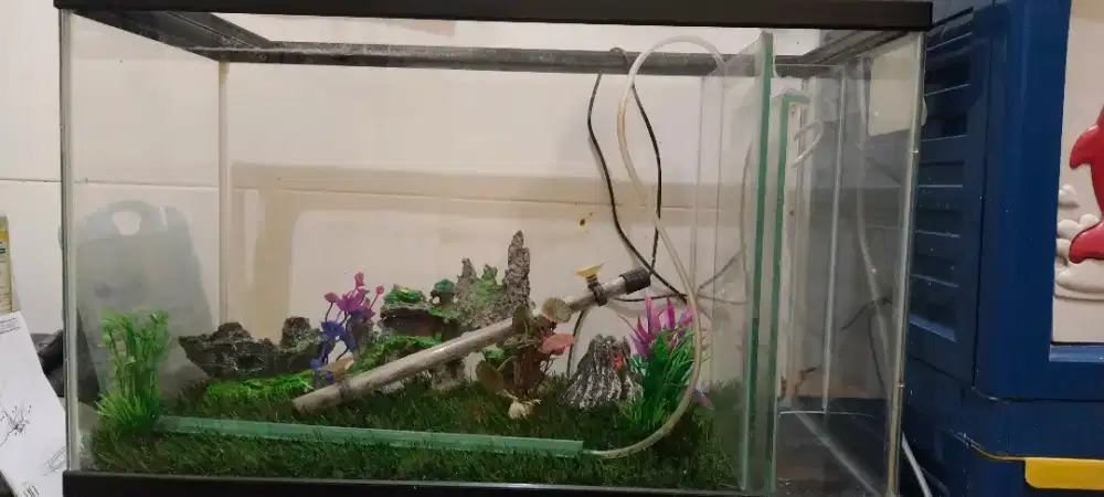 Aquarium filter samping 60x30x40
